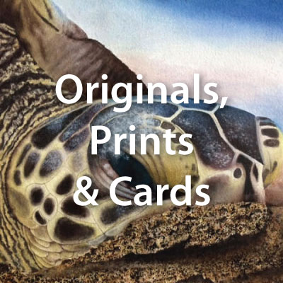 Originals, Prints and Cards